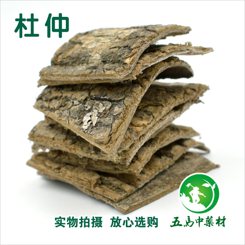 Old Tree Bark leather thick skin Cortex Eucommiae Powder Fried Du Zhongchuan 50 gr Bubble Wine Tea Chinese Herbal Medicine Shop