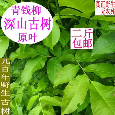 Green Qianliu wild ancient tree Green Qianliu tea Ancient tree original leaves 1000g can be paired with guava tea