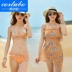 CORTUBO bikini mùa xuân nóng bỏng kích thước ngực che bụng thép tấm tụ tập chia áo bikini ba mảnh - Bikinis