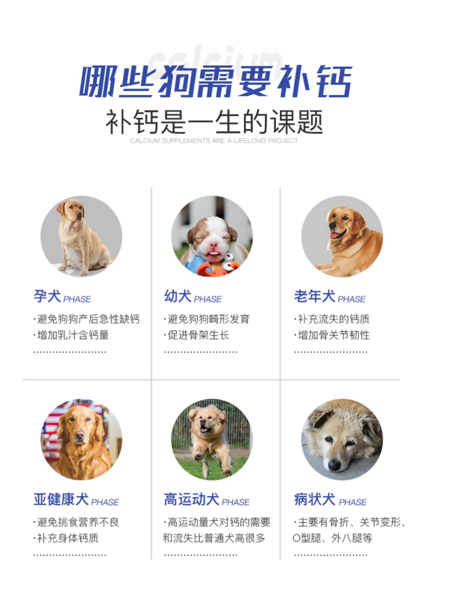 Chó sữa canxi viên chó con xương bổ sung canxi chó lớn bột canxi nhỏ bông vàng lông mèo cưng dinh dưỡng đặc biệt - Cat / Dog Health bổ sung sữa cho mèo