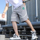 Men's Summer Thin Straight-Leg Casual Knit Beach Shorts, Loose Trendy Stylish Sports Shorts