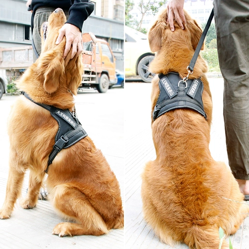 ДОБАВИТЬ ГРЕСС