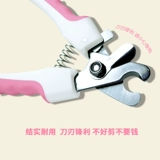 Домашняя кошка, собачья гвоздь срезана собачья собака срезка нож