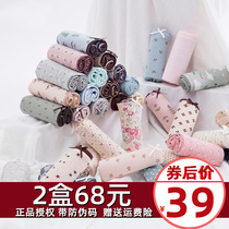 3 dress Top Guagua Top Tampa Cotton Lady Spring Summer Season Full Pure Cotton triangular High School Low waist Underpants