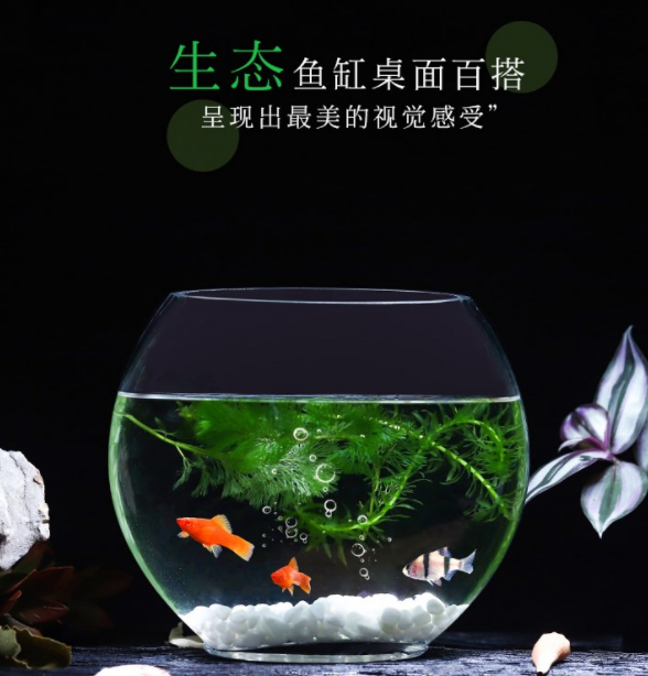 Flat fish glass vase fish tank transparent large creative hydroponic gold Ge flowerpot small aquarium goldfish tank utensils
