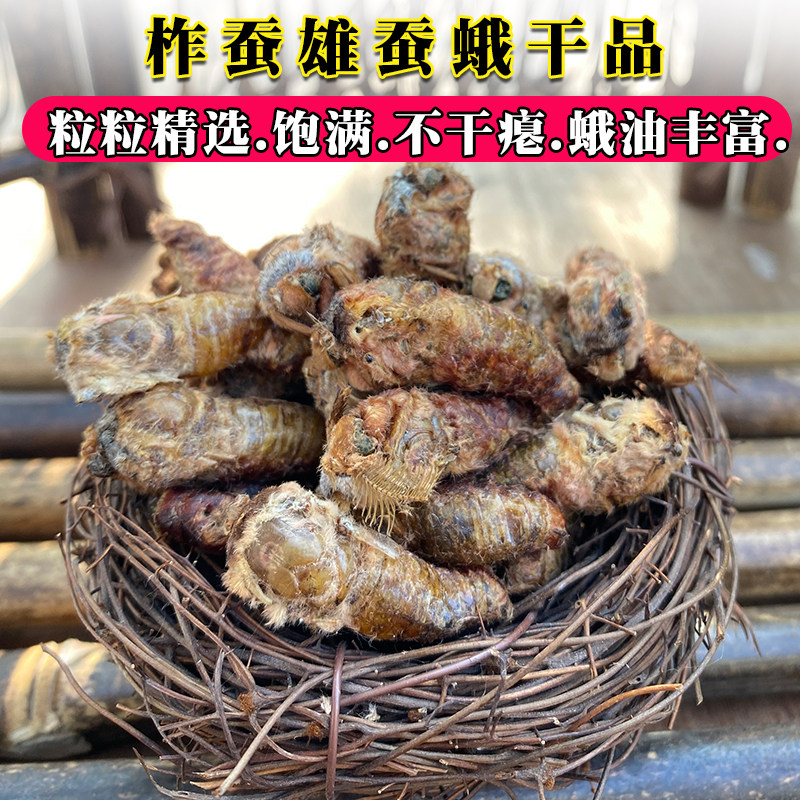 Tussah male silkworm moth dry product Northeast wild male moth dry powder unmated nourishing bubble wine powder 100g