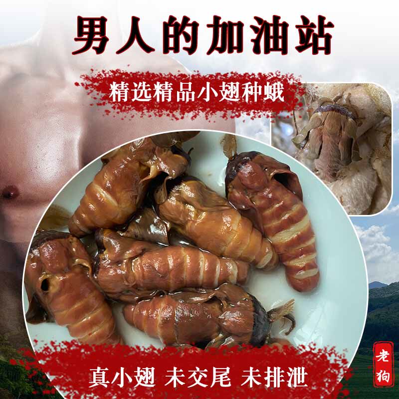 Wild male silkworm moth wine male moth soaking wine material health tussah original silkworm moth male male tonic unmated male cicada moth