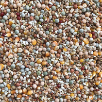 Beijing Tianyou ten thousand Pigeon Grain (Nutrition Level) 50 Taggers of Jiang Zhejiang and Zhejiang