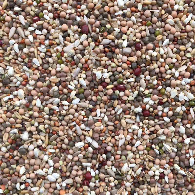 Beijing Tianyou ten thousand Pigeon Food (Spacer Feed) 50 kilos of Jiangsu, Zhejiang and Anhui (Outer provinces are required to add shipping fees