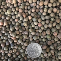 Quality middle hemp bean hemp pea with large black peas and pigeon grain pigeon grain 50 catty of Jiang Zhejiang and Anhui
