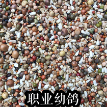 Beijing Tianyou ten thousand Pigeon Food (Careers Young Pigeon) Careers Special 50 Kings Jiang Zhejiang and Anhui