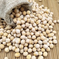 White pea dove grain with peel white pea pea pea grain new peas 50 catty of JiangZhejiang Shanghai