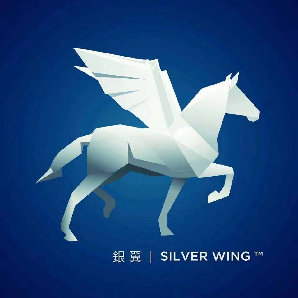 银翼军模