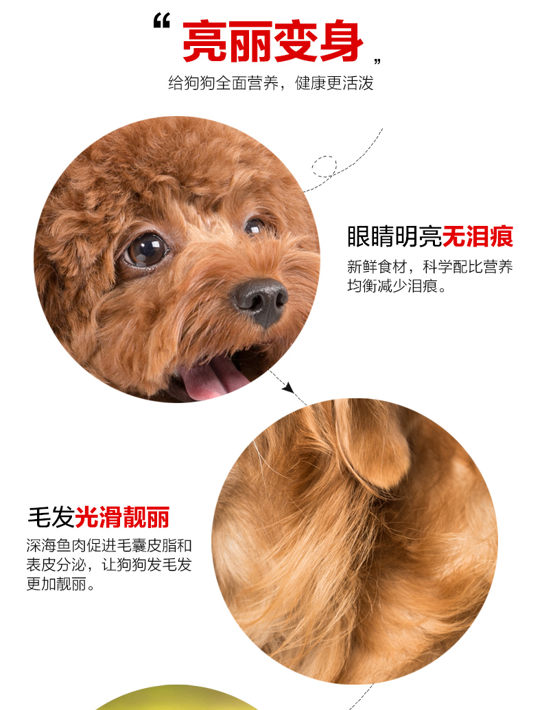 Mai Lepai thịt tươi tự nhiên thức ăn cho chó Teddy lông xé rách tự chế thức ăn cho chó toàn hạt tổng hợp 500g * 10 - Chó Staples hạt royal canin