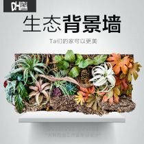 DH reptile tortoise lizard breeding box ecological three-dimensional background board rainforest reptile pet landscape ecological landscaping background wall