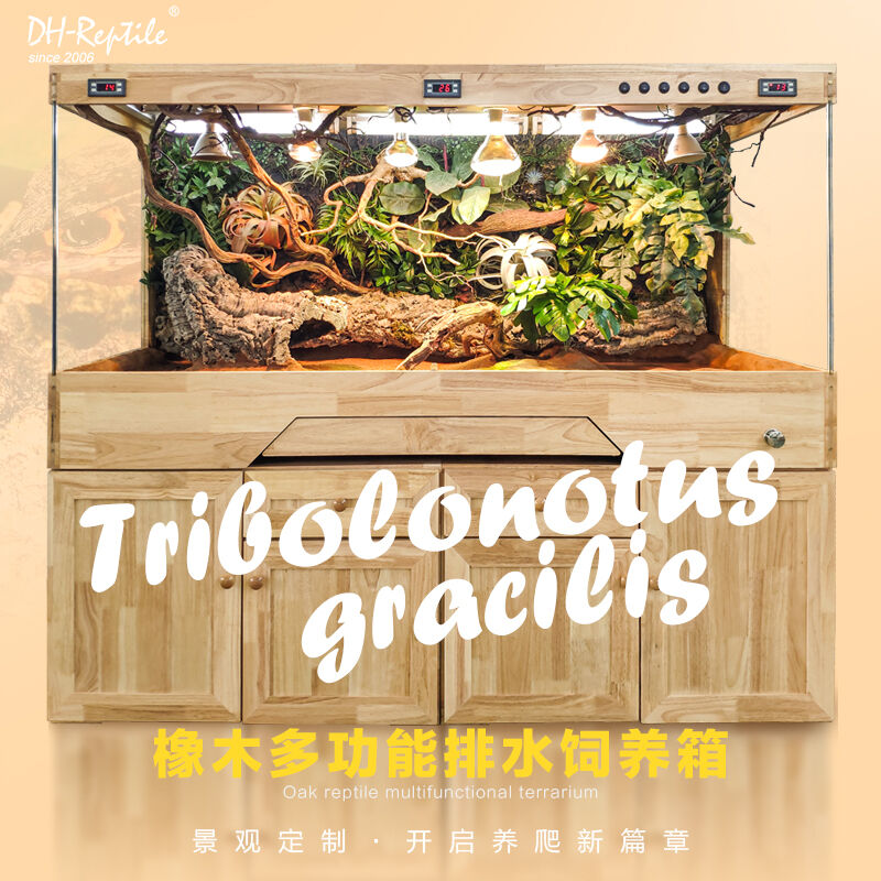 (Rainforest) Smart Reptile Case Turtle half-water Turtle python lizard thermostatic climb Rearing Box Ground Warm Spa Drain