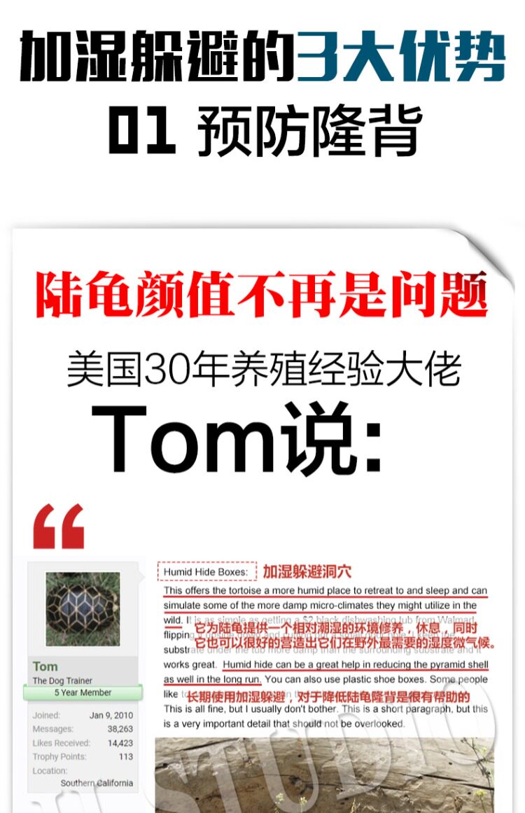 Аксессуары для рептилии 包邮 爬宠陆龟加湿大号/小号爬箱躲避洞 爬虫保湿预防隆背 送瓷盆 H/STUDIO