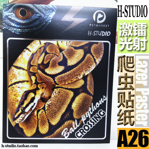 Full 5 laser laser waterproof reptile sticker high-definition image 30 paragraph optional (A21-30)