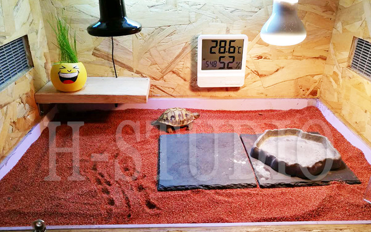 Аксессуары для рептилии 包邮 原色砂石 原生态陆龟箱鬃狮王者垫材 粪便易清理 4kg H/STUDIO