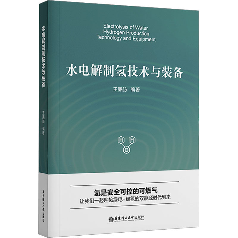水电解制氢技术与装备,科技前沿的绿色能源新宠?🚀-化学工业-淘宝好物网