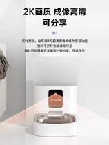 Intelligent feeder for pet cats and dogs timed and quantitative automatic cat food feeder remote viewing