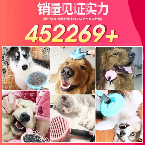 Pet Combat Cat Тедди золотые волосы посвященные собачьи пушистые артефакт для собак кисть кисть Большая собака расщепляет питомец