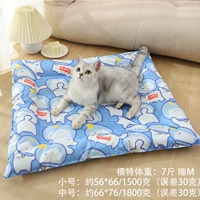 Космос милый питомец