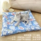 Космос милый питомец