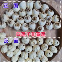 Ordinary white lotus seed dry goods to core premium 500g lotus seed rice easy to cook Non Xuan Lotus