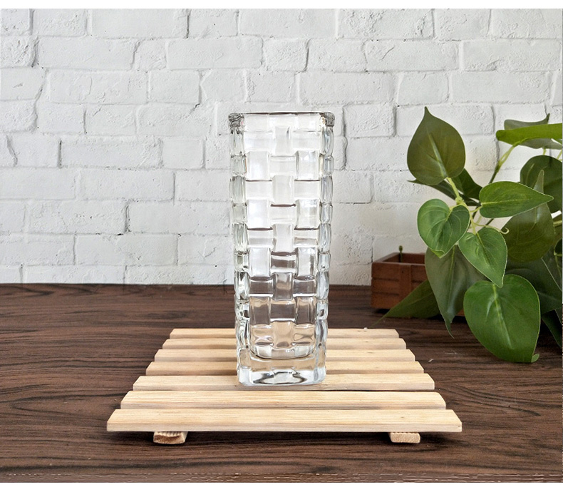 Bình thủy tinh dày tre phong phú cây thủy canh xanh củ cải Bắc Âu bình in nhỏ bình hoa khô bình hoa - Vase / Bồn hoa & Kệ chum sành trồng cây