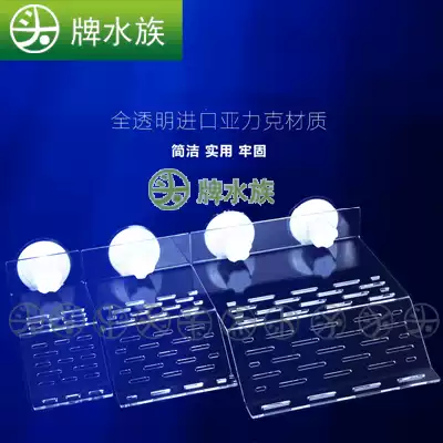 Tortoise Sunback solar light crawling frame floating platform water and land tank water turtle Brazil turtle transparent acrylic turtle climbing frame