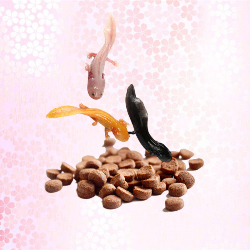 Japan imports 30 grams of grain bag of heavy grain - grain - grain - containing small grains of meat - eating meat