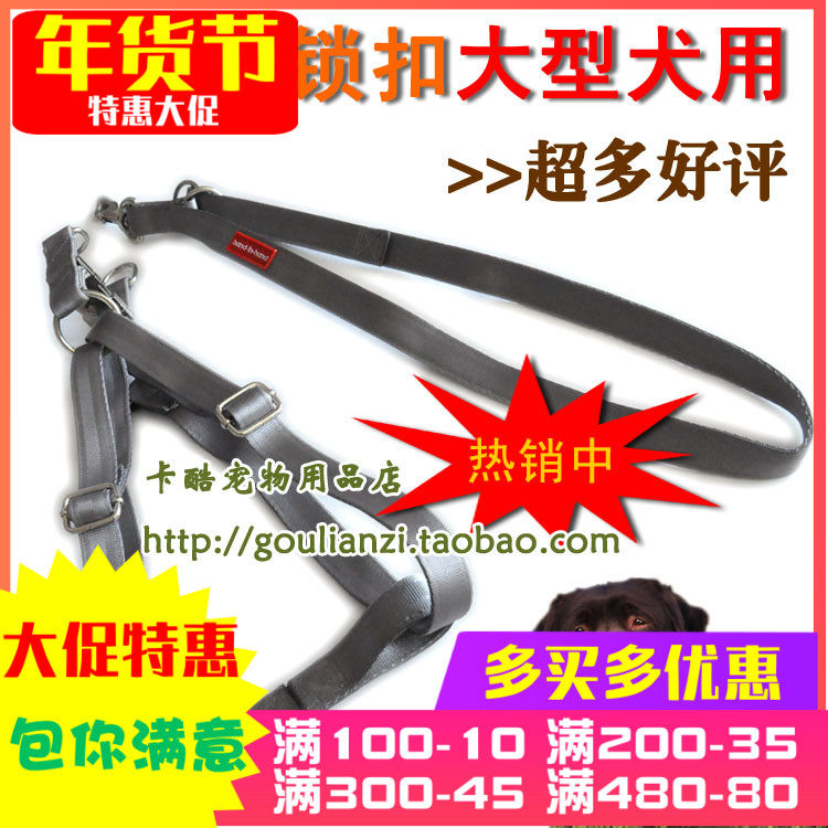 -Big dog chest back leash stainless steel lock pull rope medium and large dog leash golden rovina