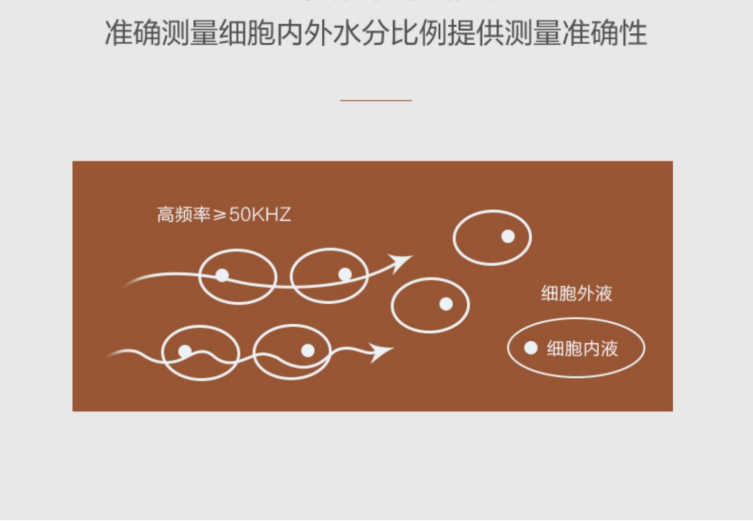 【历史至低】香山智能体脂秤电子体重秤