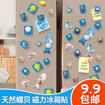Natural shell conch magnetic refrigerator stickers decorative stickers creative magnetic stickers custom early teaching magnetic black and white board stickers