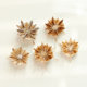 Natural small conch shell bench chrysanthemum sea urchin
