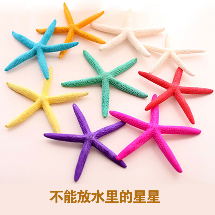 Natural shell conch five-finger overlord starfish specimen Mediterranean style wedding props floor decoration decoration