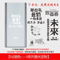 Silver Y Series Friendly Camvicization