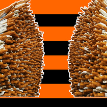 Japan zebra vintage color JJ15 real write wholesale camel yellow wine red coffee]New color Bordeaux red black