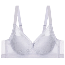 Adore Body Langri Style Underwear Womens Soft Steel Ring Thin Cup Big Breast Showing Small Holes Bra AD110431