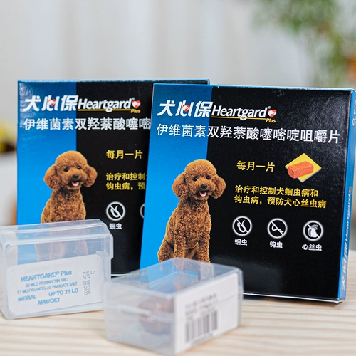 Внутренняя и внешняя собака собака собака собака собака собака собака собака собака, Бао -фулай, благословение, лучшие домашние животные четкие набор