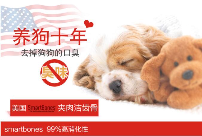 Qiuqiu Thú cưng-Smartbones Chó nhập khẩu Đồ ăn nhẹ Chó nhỏ Chó nhỏ Keo keo Molar 8 - Đồ ăn vặt cho chó đồ ăn vặt cho chó poodle