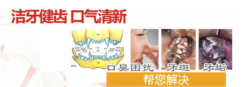 Qiuqiu Thú cưng-Smartbones Chó nhập khẩu Đồ ăn nhẹ Chó nhỏ Chó nhỏ Keo keo Molar 8 - Đồ ăn vặt cho chó đồ ăn vặt cho chó poodle