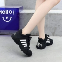 Черно -белый черно -белый