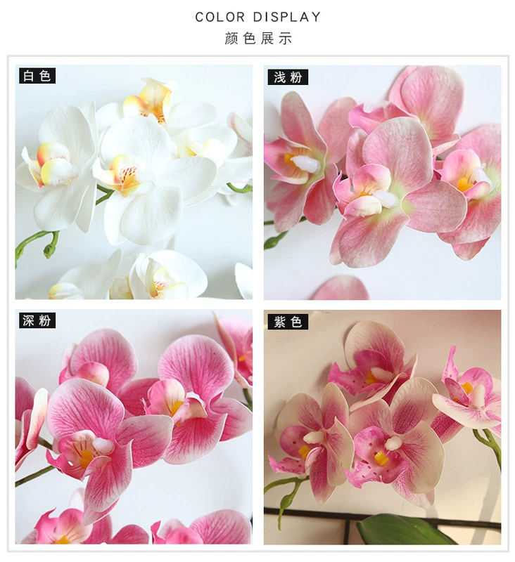 Hoa Dream Valley Phalaenopsis Hoa giả Hoa giả Phòng khách Hoa bonsai Trang trí hoa mới Trang trí nhà mới - Hoa nhân tạo / Cây / Trái cây
