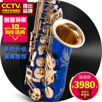 The Eptesdown E Tune Acoustic Sax Musical Instrument Children Adult Beginners Play Band 900 Firebird