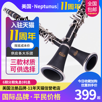 Nipts clarinet instrument black tube flat clarinet Bakelite synthetic wood ebony beginner performance test grade