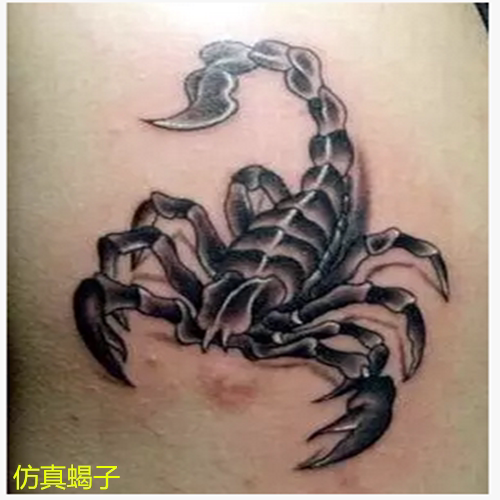Tattoo Stickers Tiger Mouth Scorpion Waterproof Long-Lasting Realistic Personalized Scorpion Tattoo for Men and Women on Hand, Arm, Chest Tattoo Stickers