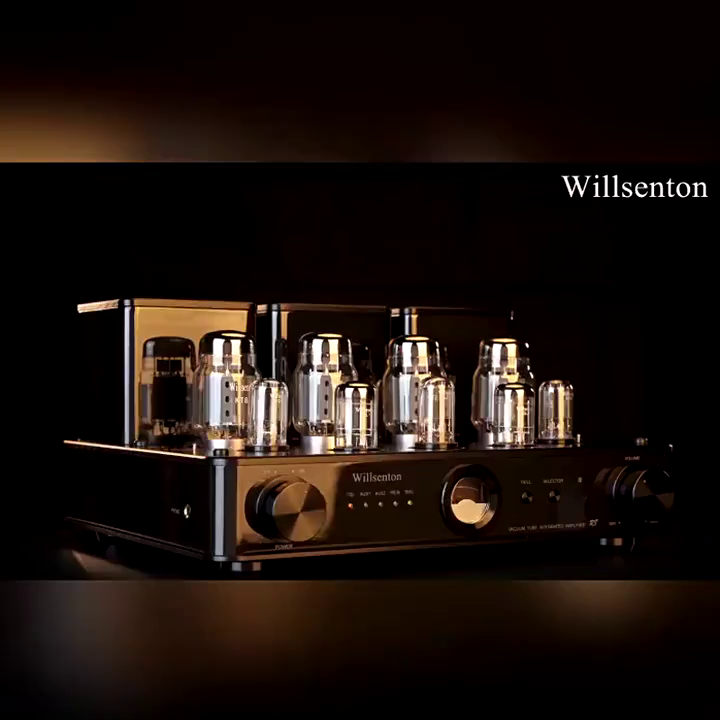 该台胆机真能够让你的耳朵怀孕？Willsenton R8太敢打了。