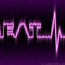 Bulk charge 08 version of the journey Green Journey 2 Journey Als Light New journey Giant card and other settlements